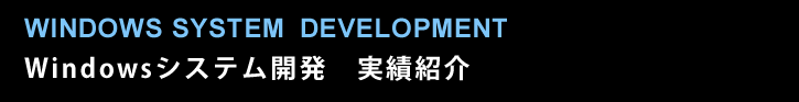Windowsシステム開発　実績紹介