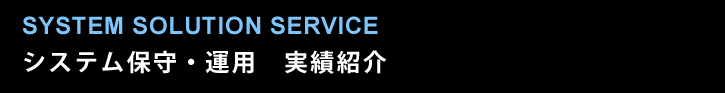 システム保守・運用　実績紹介